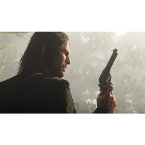 Red Dead Redemption 2 PS4 ES Usato2 Red Dead Redemption 2 PS4 ES Usato2